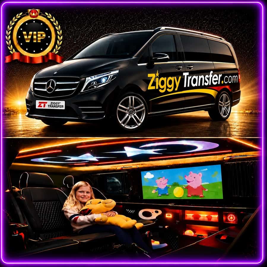 Ziggy Transfer VIP airport transfer service